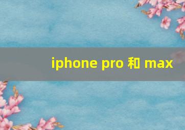 iphone pro 和 max